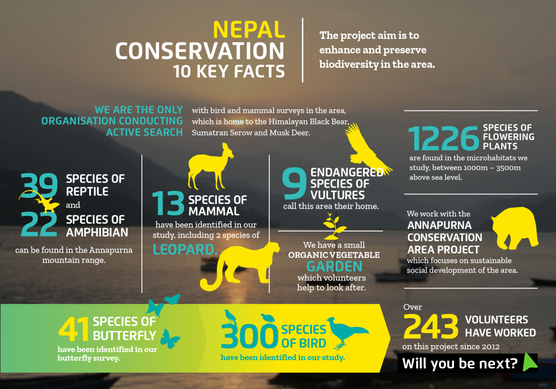 The impact you will make on the conservation volunteer project in Nepal with projects abroad Interesting facts about conservation volunteering in Nepal with projects abroad